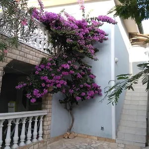apartmani-korade.hotelinzadar.com/